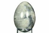 Polished Agatized Fossil Coral Egg - Florida #308697-1